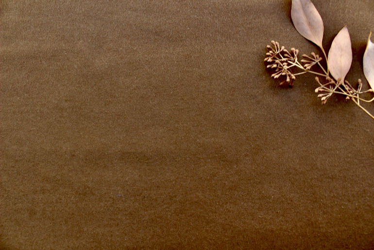 JC綿サテンーフランネル　ブラウン